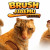 Brush Jjaemu img