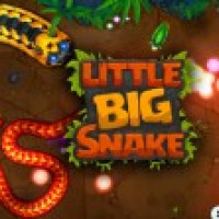 Little Big Snake img