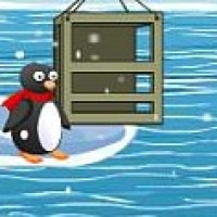 Go Penguine img